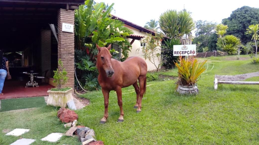 Hotel Fazenda Agua Da Prata Agri Turismo Camaçari エクステリア 写真